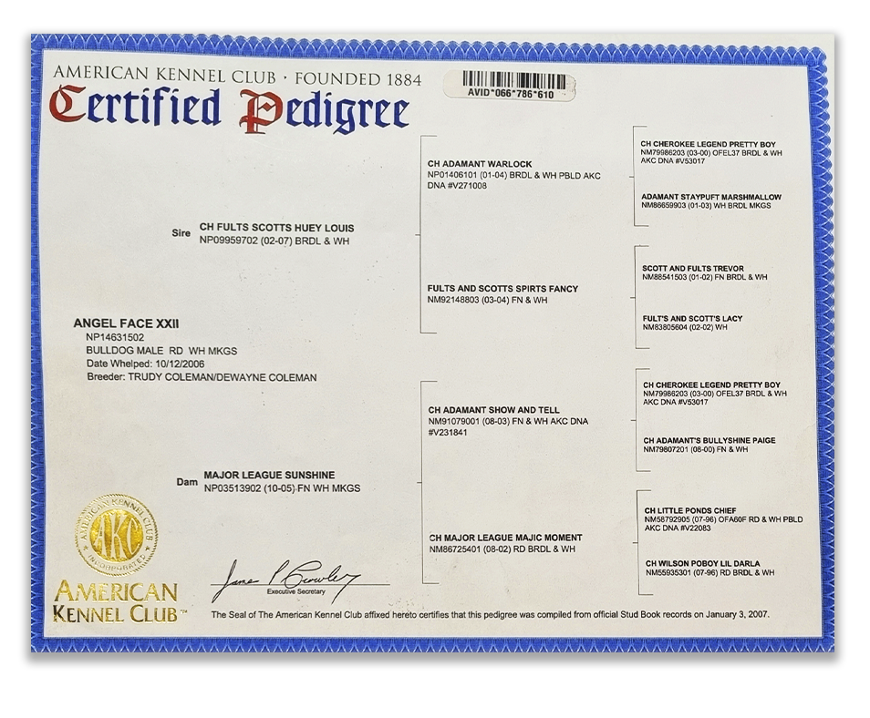 Certificado de Pedigree de American Kennel Cñub